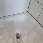 Fine For Couples Neukoelln Appartement Berlin